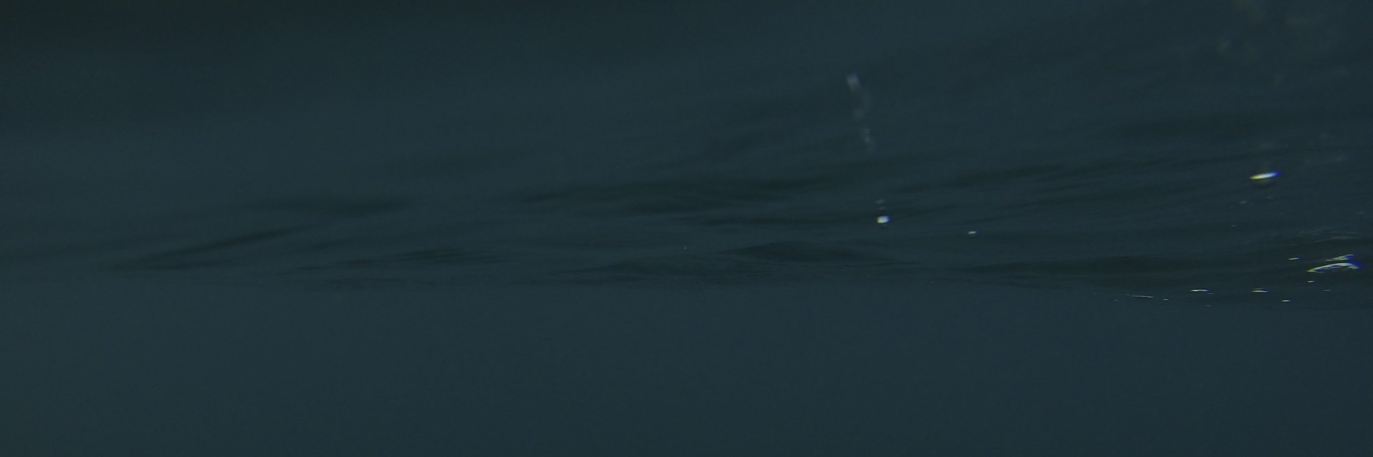 hanneswikstrom's profile banner image