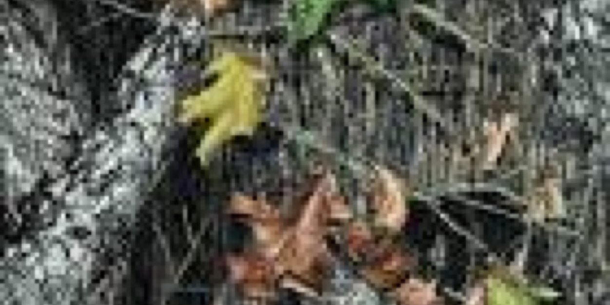 kenkyler2011's profile banner image