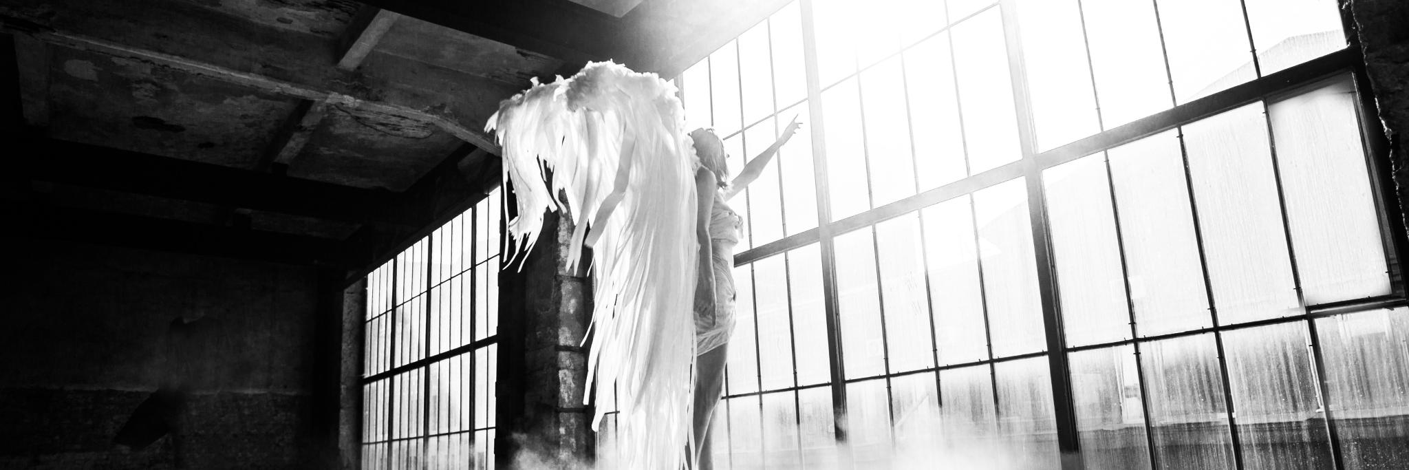 EcoDolly's profile banner image