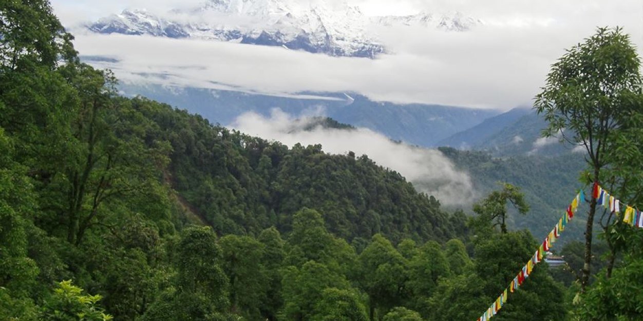 Gewoonlogisch banner