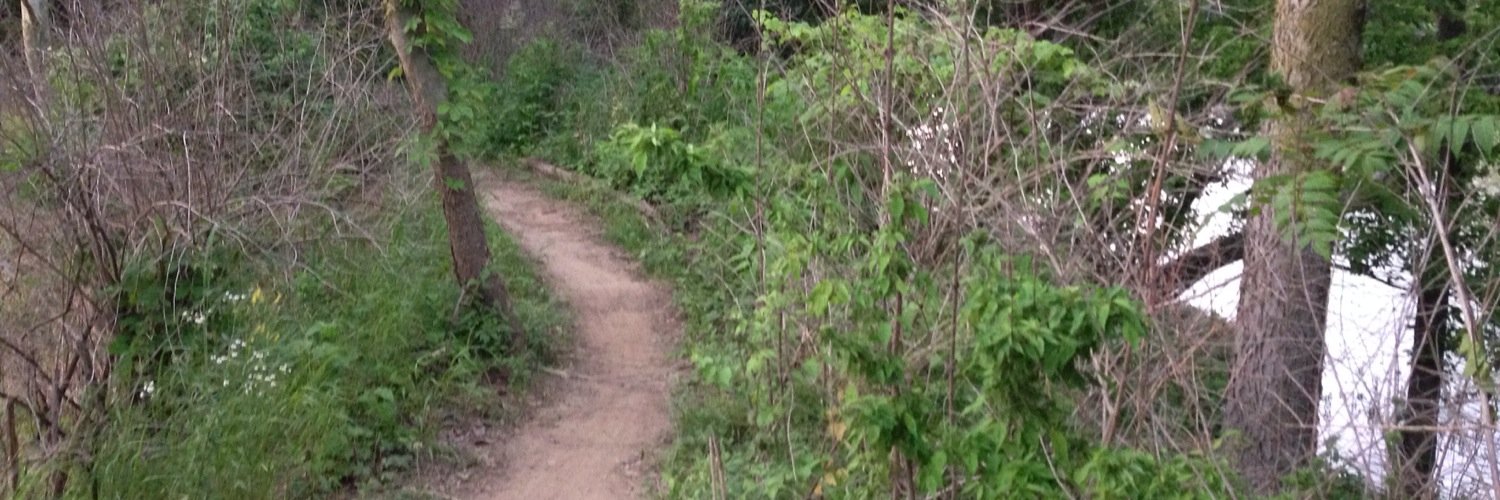 theBrainrunner's profile banner image
