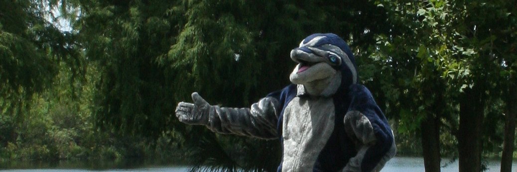Dolphynvisions's profile banner image