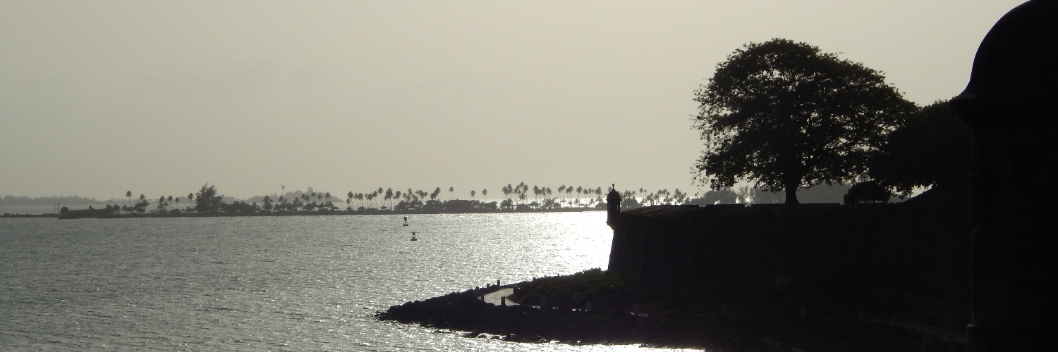 bosques12's profile banner image