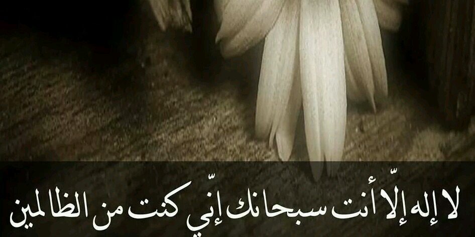 malek9899's profile banner image