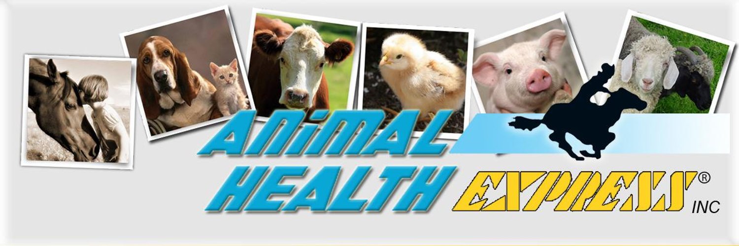 AnimalHealthExpress (ExpressAnimal) Twitter