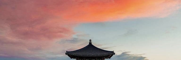 Patrick De Winter banner