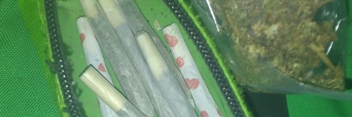 hungry young banner