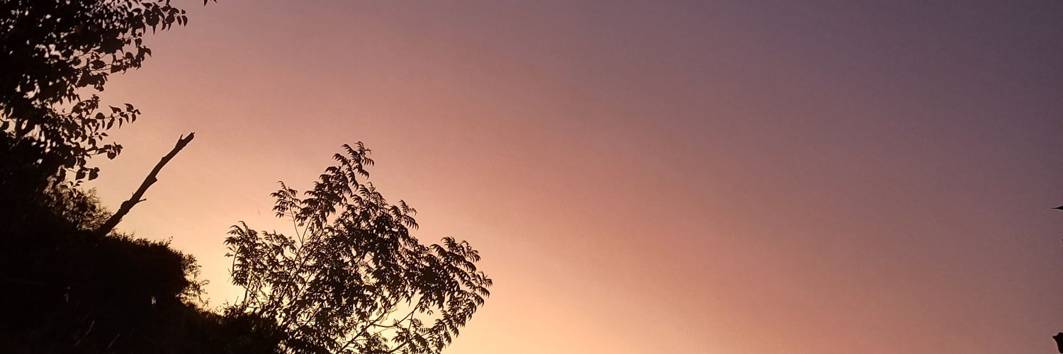 VACarrizo11's profile banner image