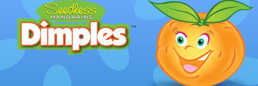 dimplescitrus's profile banner image
