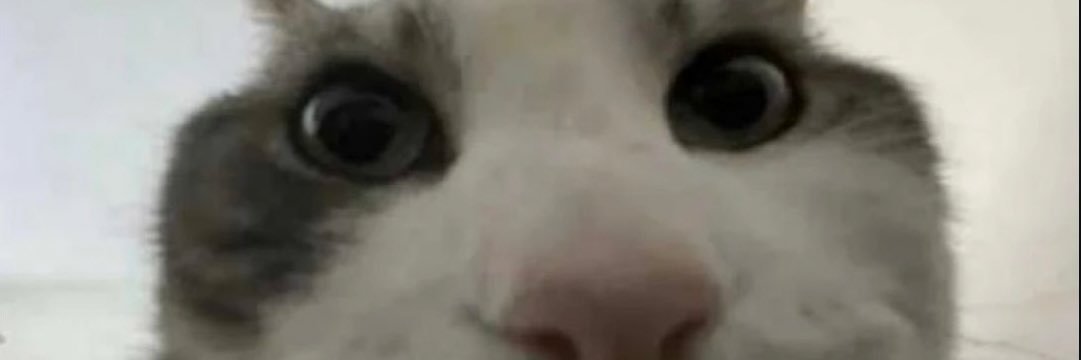 MattSwattss's profile banner image