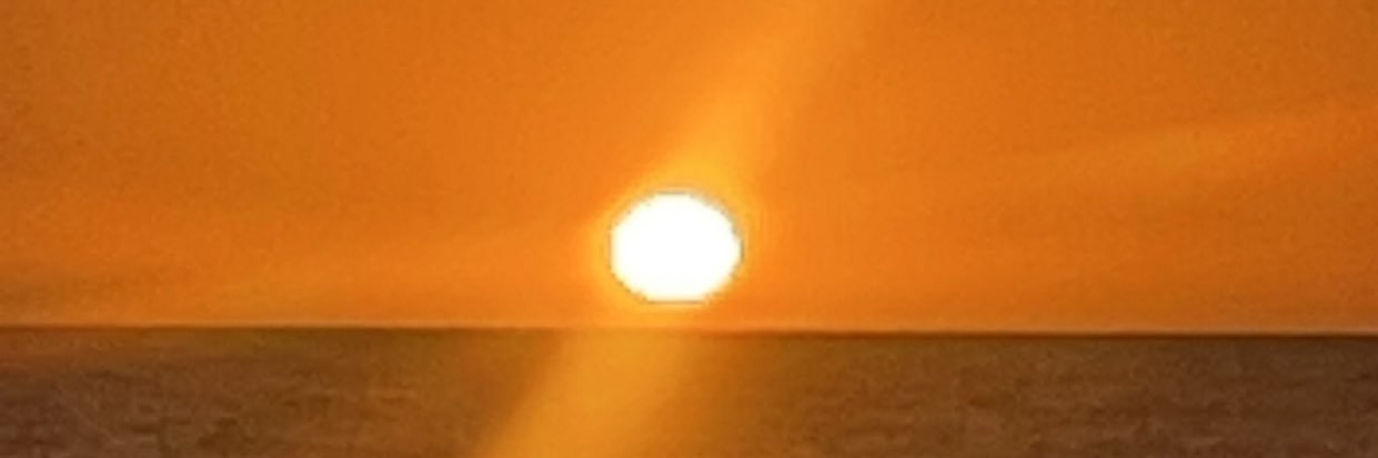 tanmans13's profile banner image
