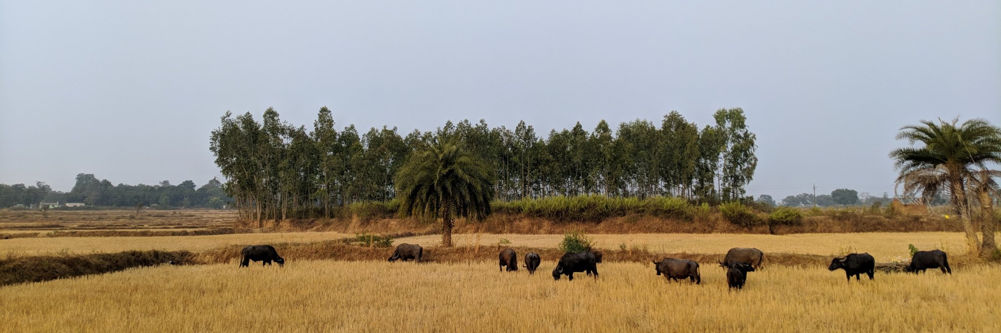 tawanug on a journey banner
