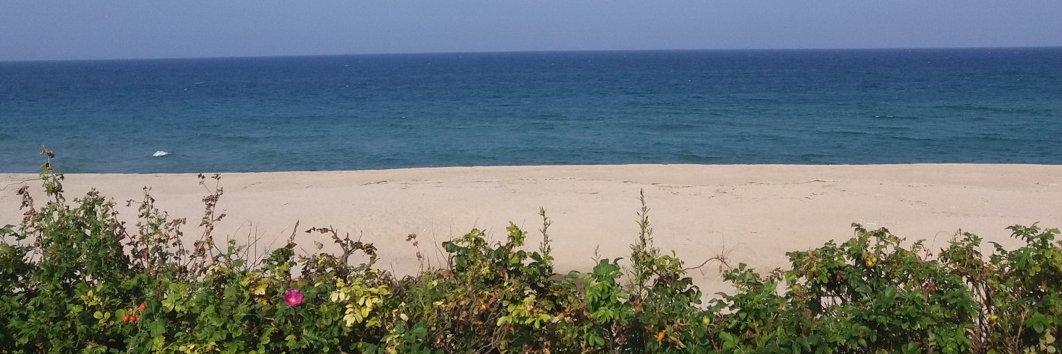Matolcool's profile banner image