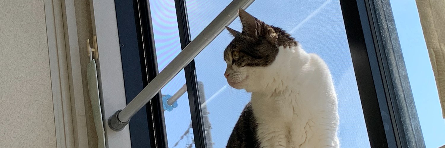 猫ネコ （またアイコン変えました） banner