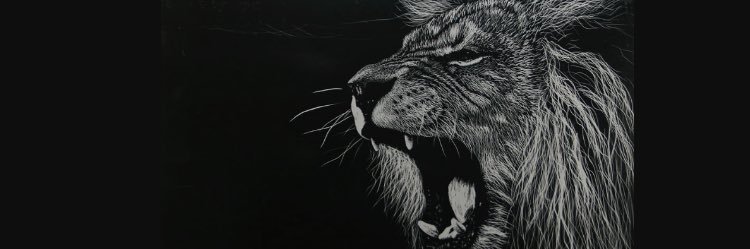 knodaboy_M's profile banner image