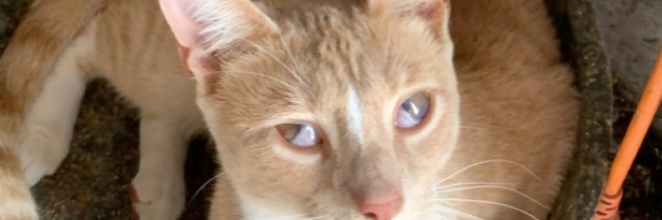 bwandyw's profile banner image