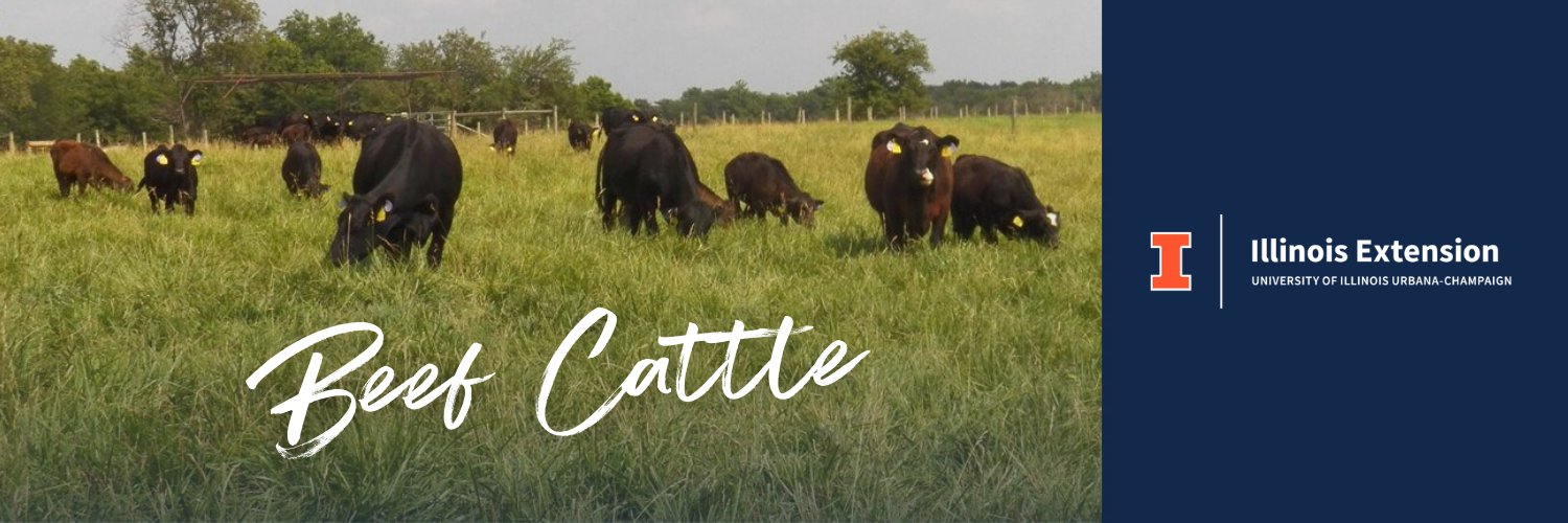 IL Beef Extension banner