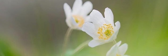 J_41kkk's profile banner image