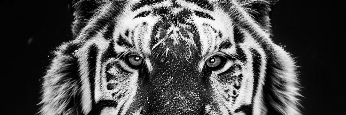 ShtLucas's profile banner image
