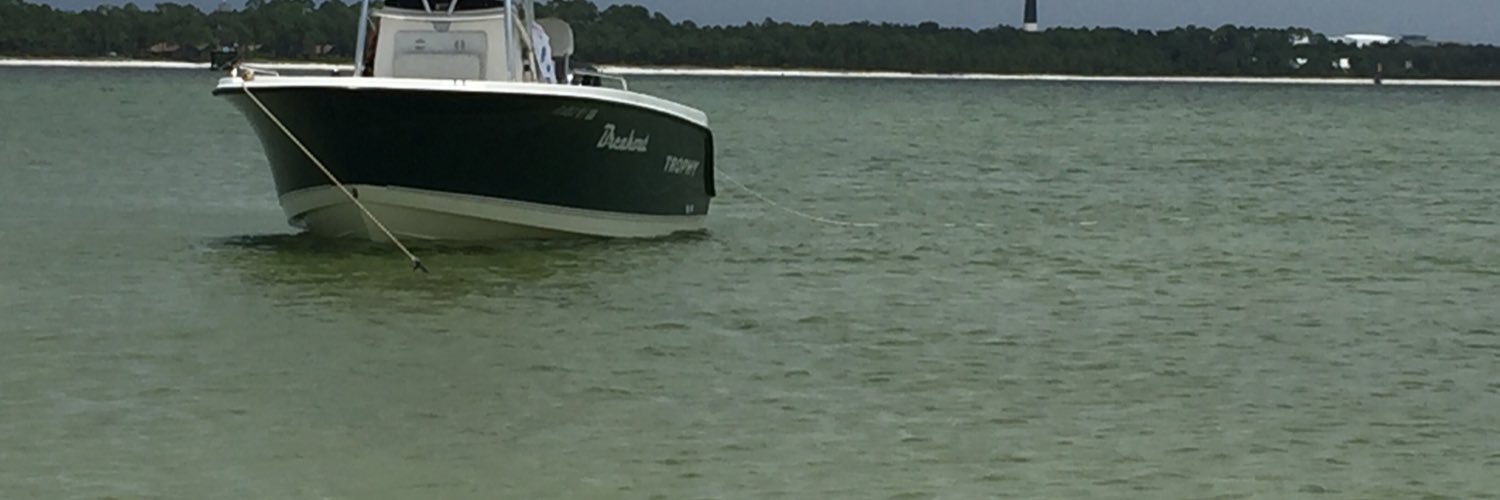 MikeBaGator's profile banner image