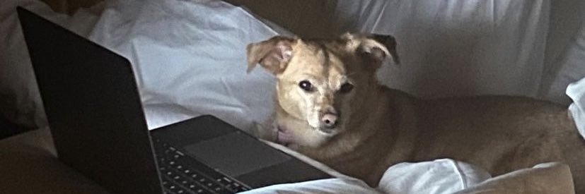 gracieedel's profile banner image