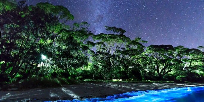 yokosukaAI79's profile banner image