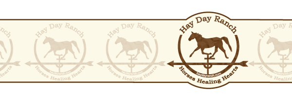 HayDayRanch's profile banner image