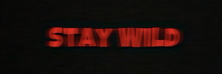 ShanepagnePapi's profile banner image