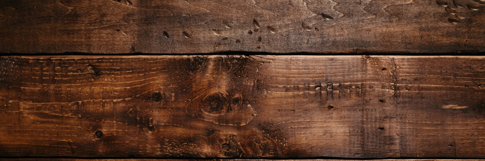 Luis G. León banner