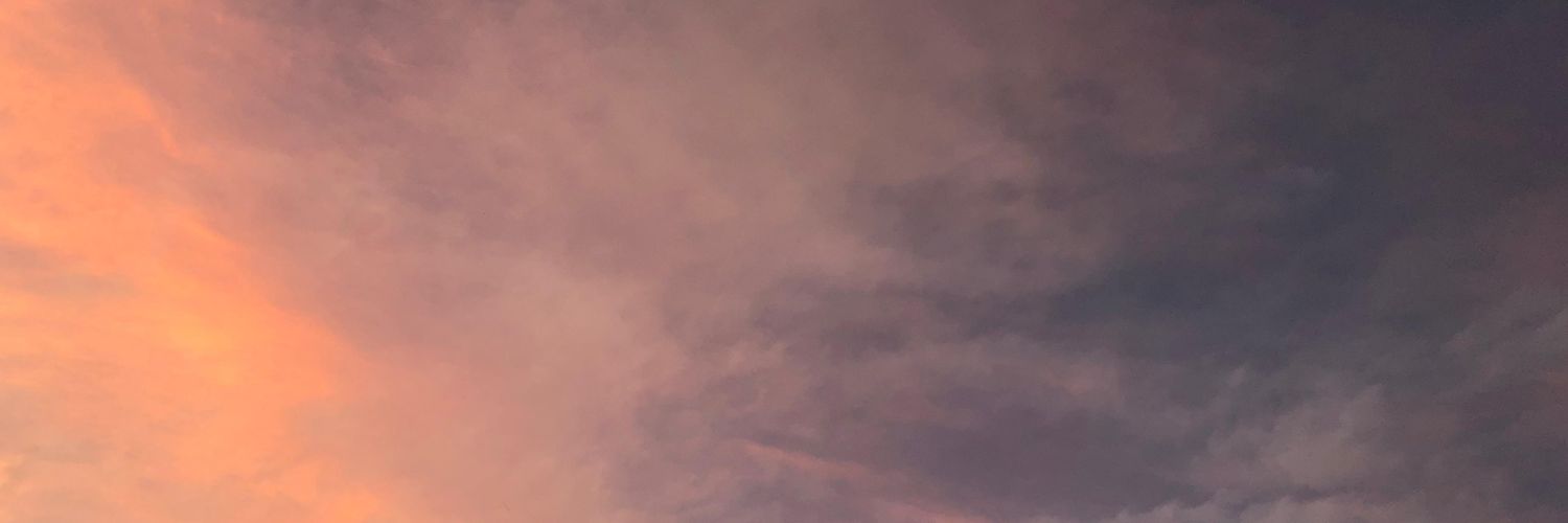 niltonya's profile banner image