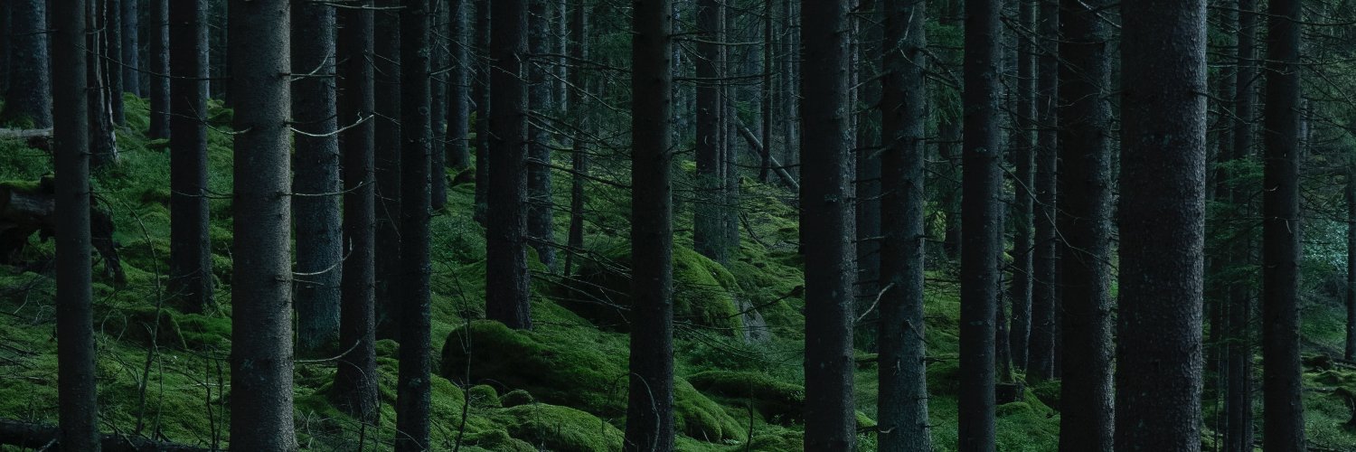 Flakkari_'s profile banner image