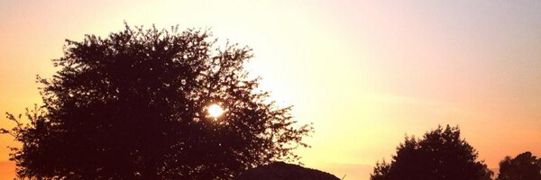 katyeabbott Profile Banner