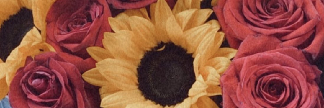 Epg_16's profile banner image
