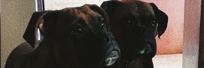 andyriveroreye1's profile banner image