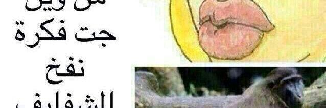 fhjccghh's profile banner image