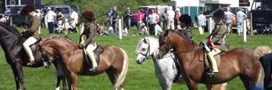 Cothi Bridge Show banner
