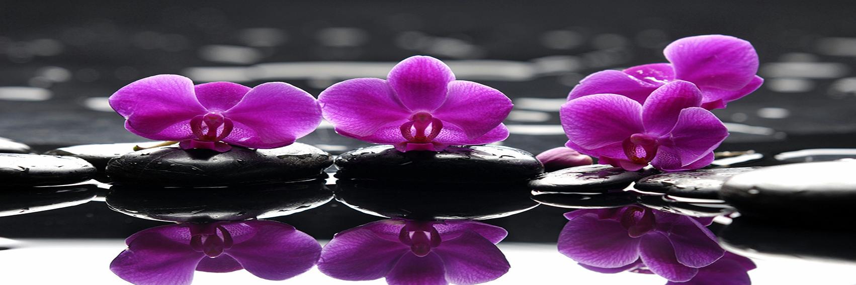 AmandaVarnerACC's profile banner image
