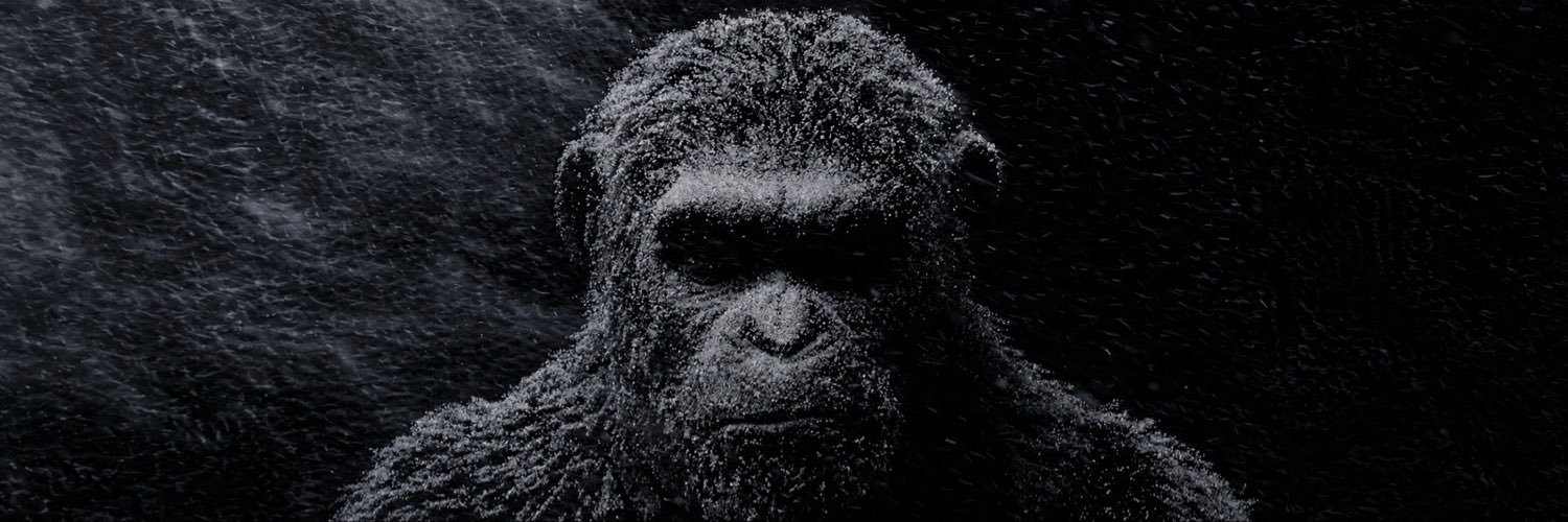 YSLdlo's profile banner image