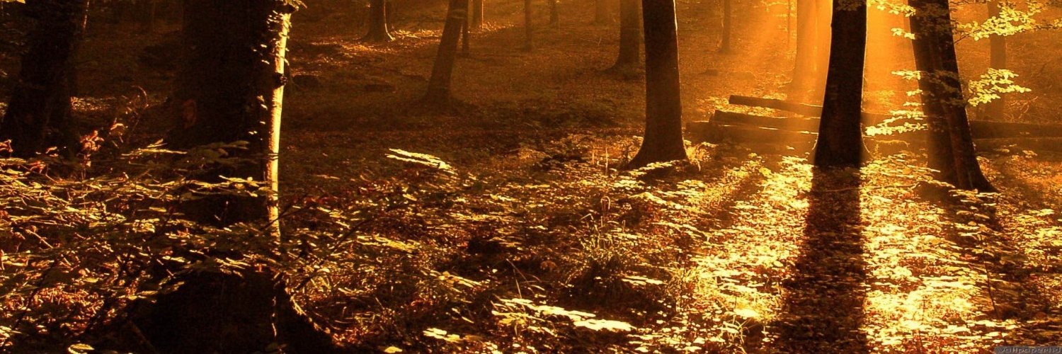 stylemilan.bnb| ETHGas ⛽ banner