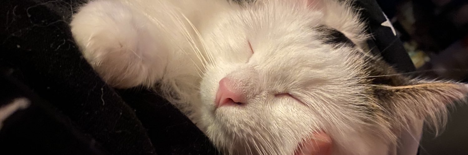 jes banner