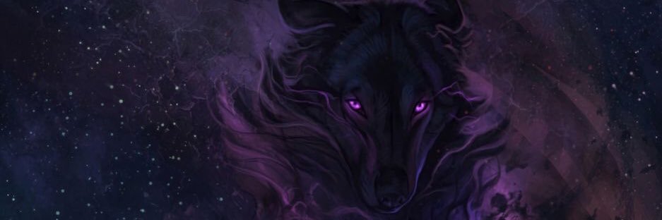 Twitter banner for @NicNaves