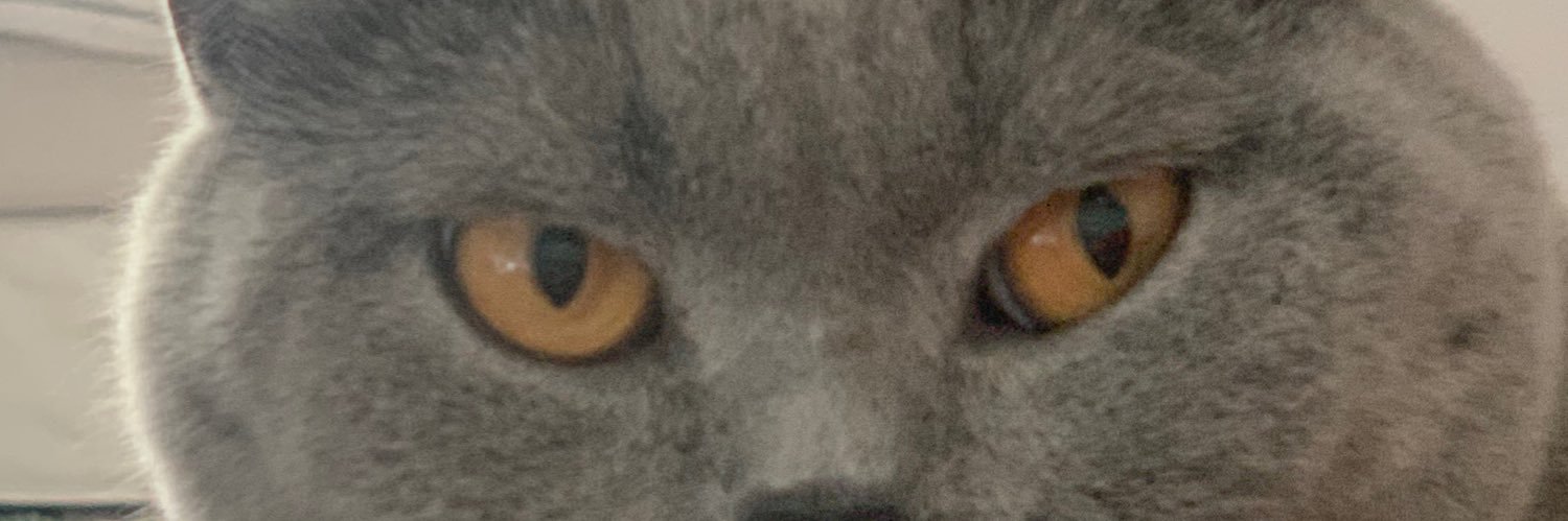 Prepony's profile banner image