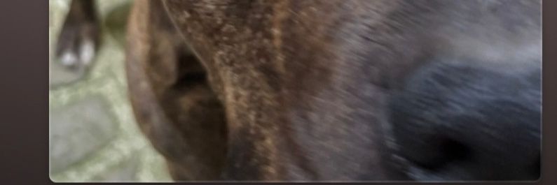 Professeur Ryuu banner