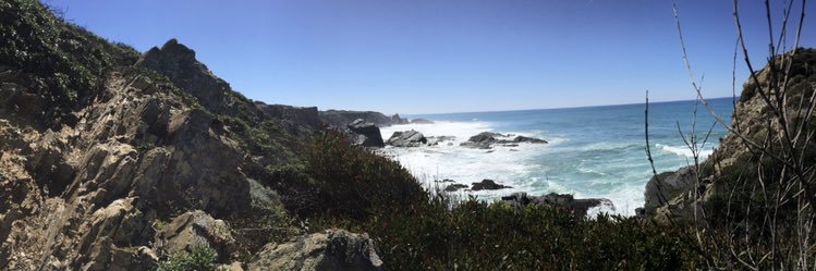 Charlene Scime banner