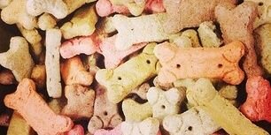 Petsmart1319's profile banner image