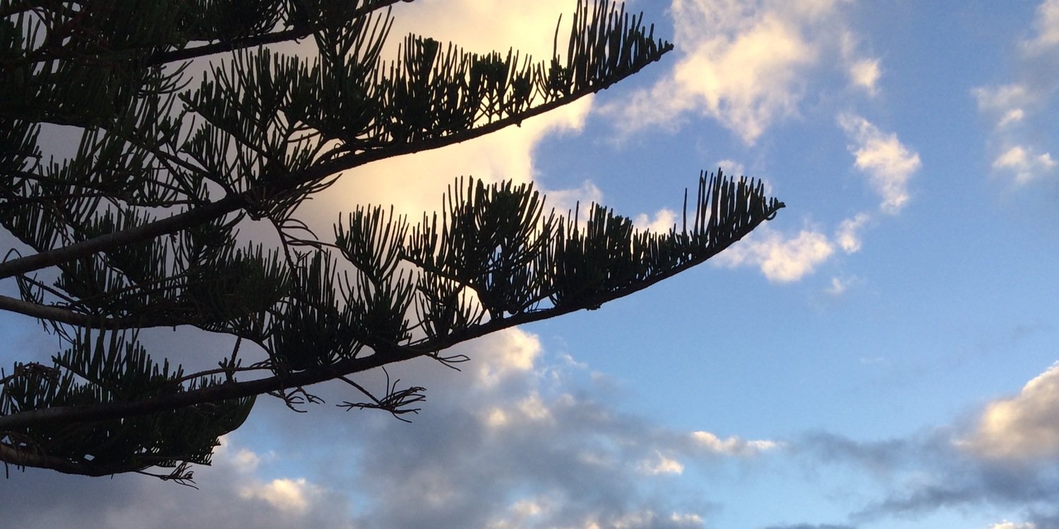 Jenna__Ball's profile banner image