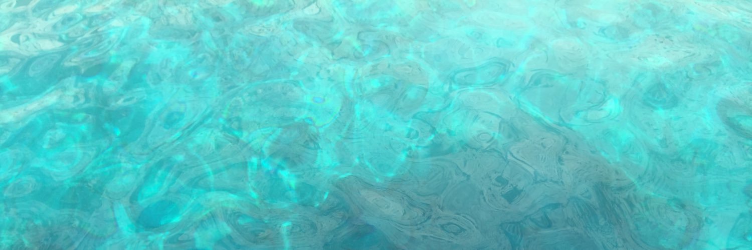 Jamie banner
