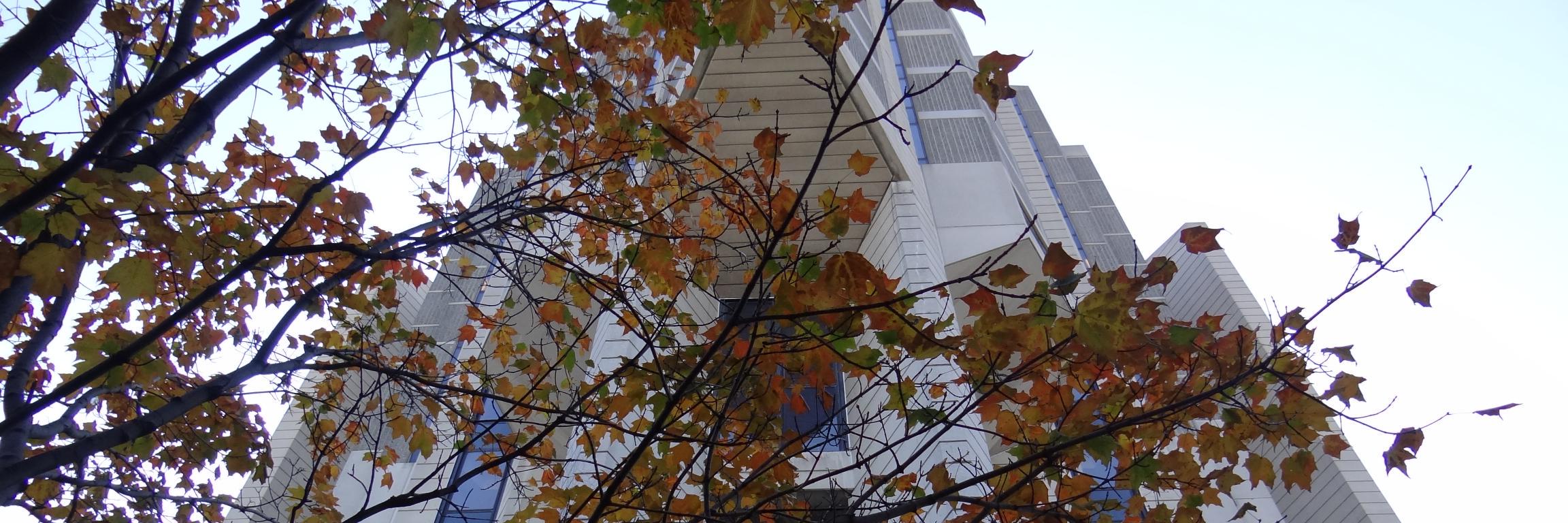 U of T Copyright banner