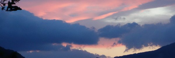 SueCrowe111 Profile Banner