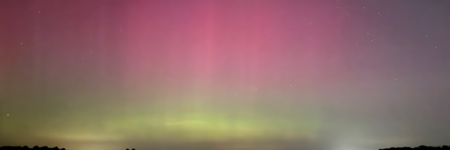 Erica Swanson banner